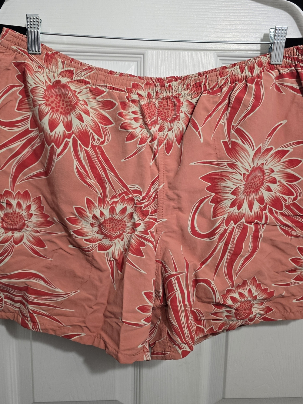 Patagonia Baggies Shorts Men's Large Cereus Flower 5" Peak Pink 57021